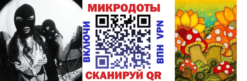 купить закладку  Жуковка  Галлюциногенные грибы MAGIC MUSHROOMS 